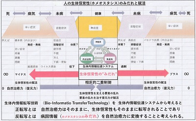 ホメオシタシスについて図