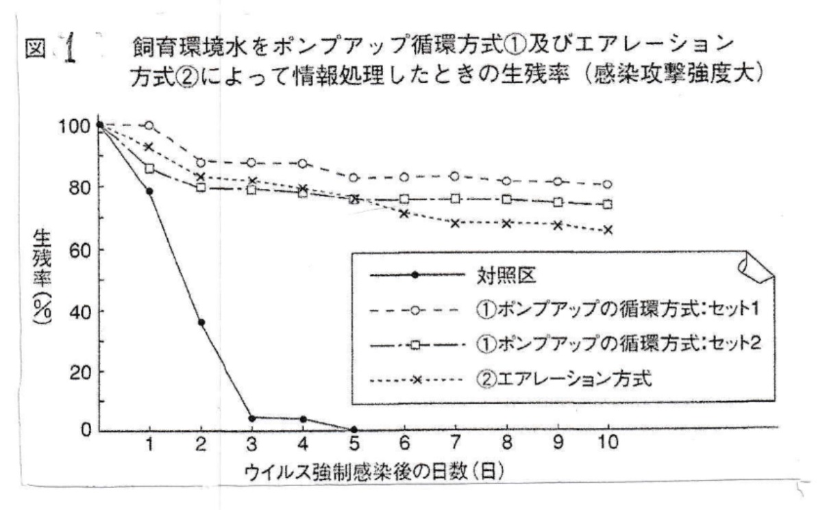 海老の実験