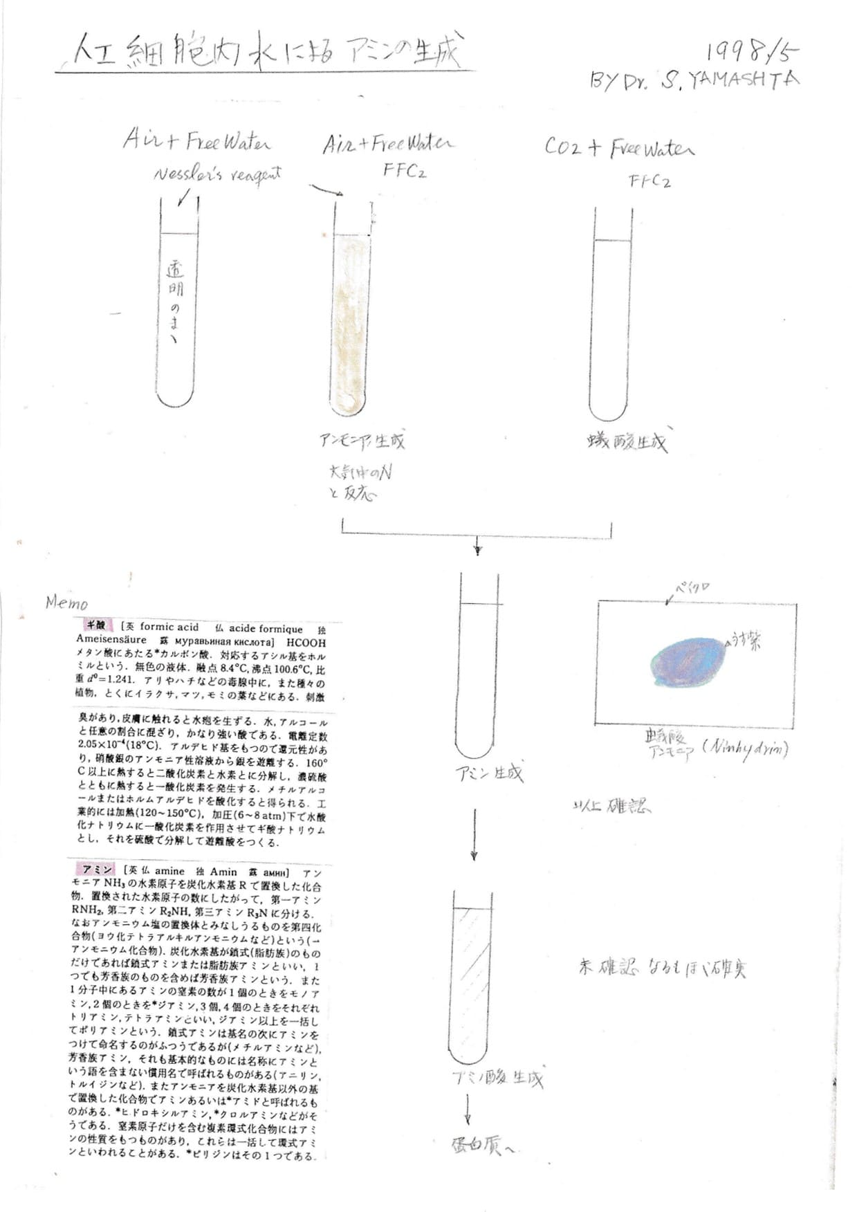 アミンが生成される実験